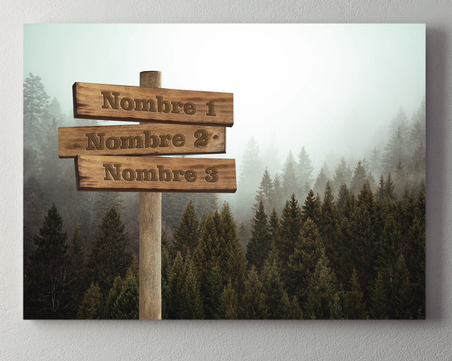 Bosque Niebla Horizontal