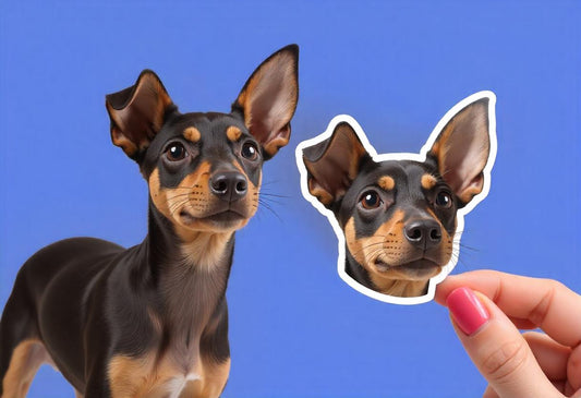 Pack de 10 Imanes Personalizados con Foto