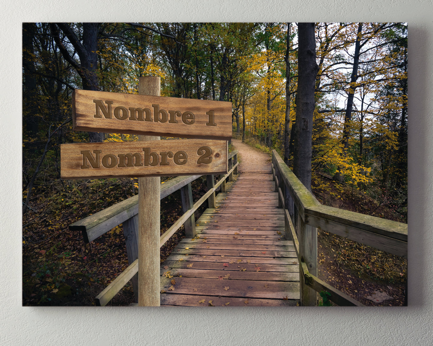 Pasarela Bosque Horizontal 1
