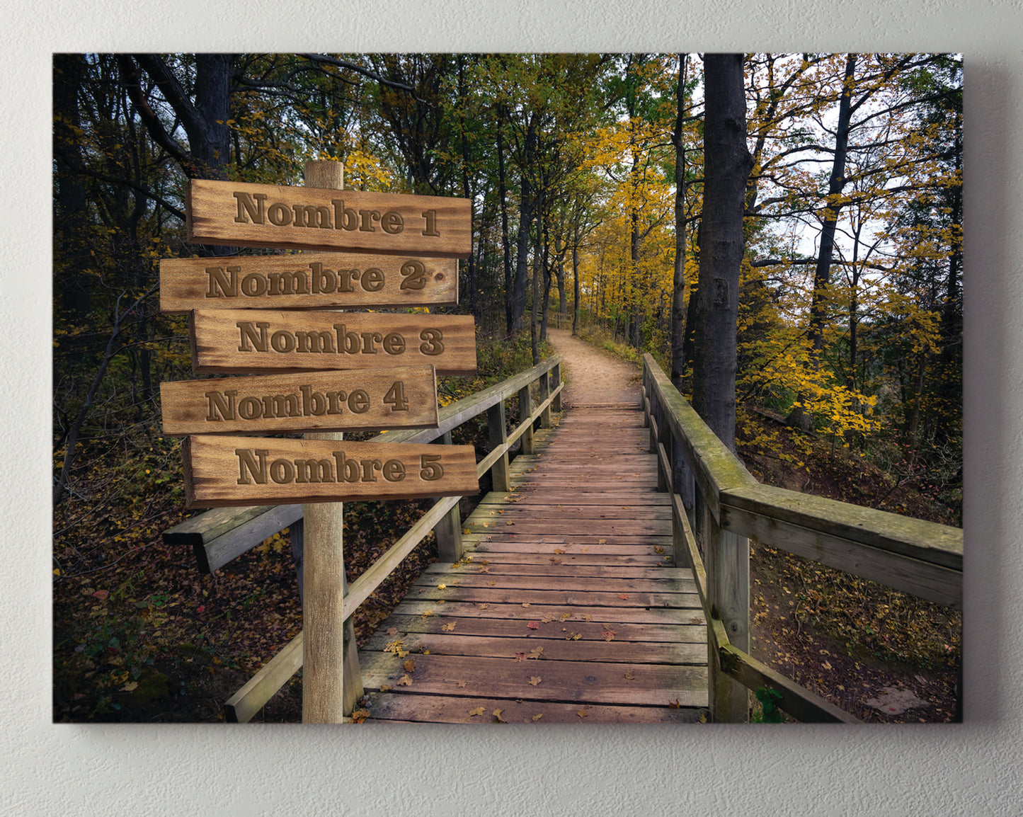 Pasarela Bosque Horizontal 1