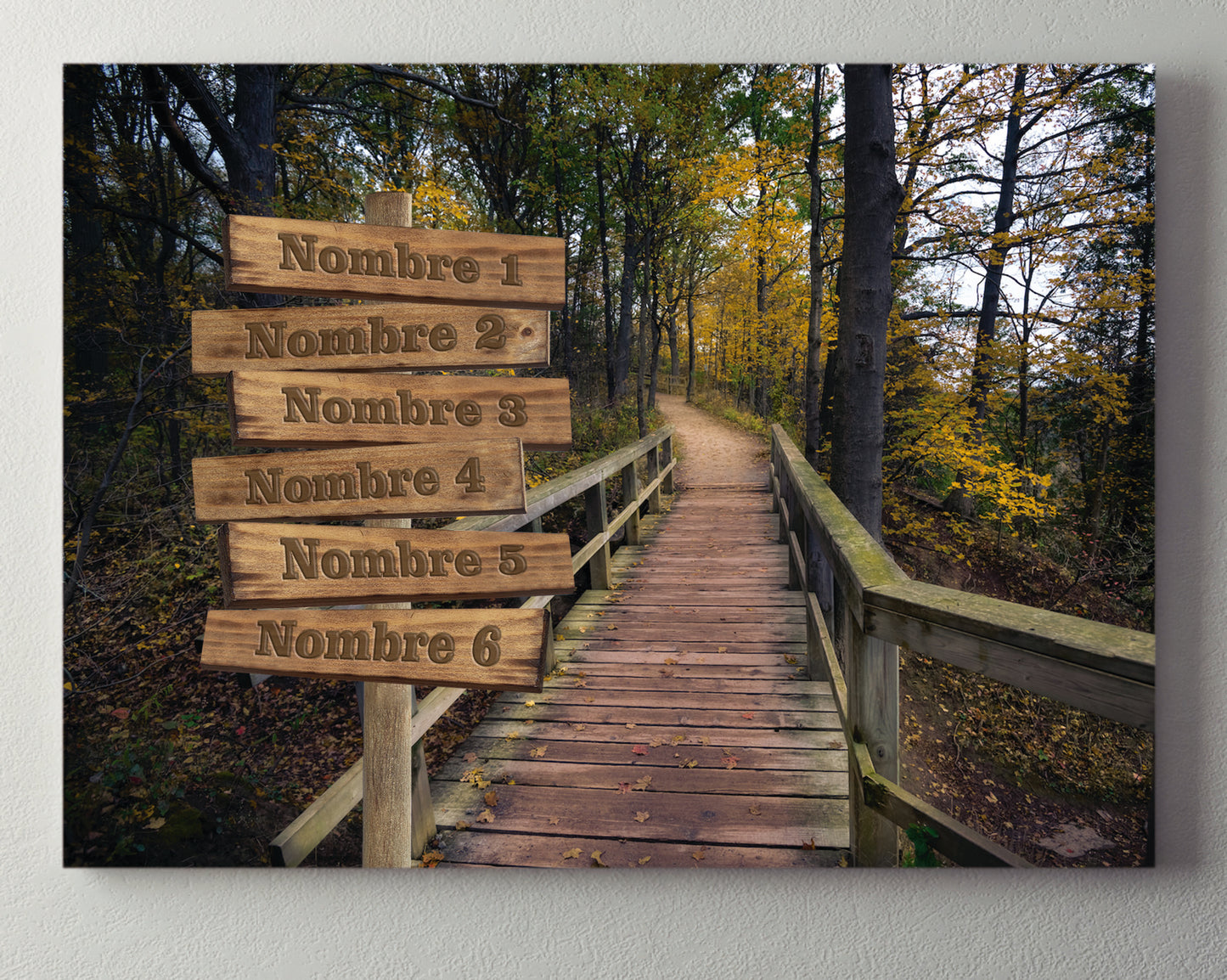 Pasarela Bosque Horizontal 1