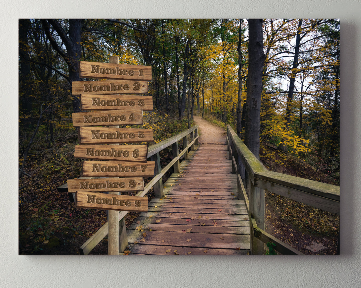 Pasarela Bosque Horizontal 1