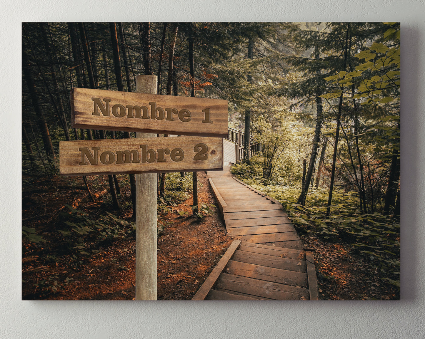 Pasarela Bosque Horizontal 2
