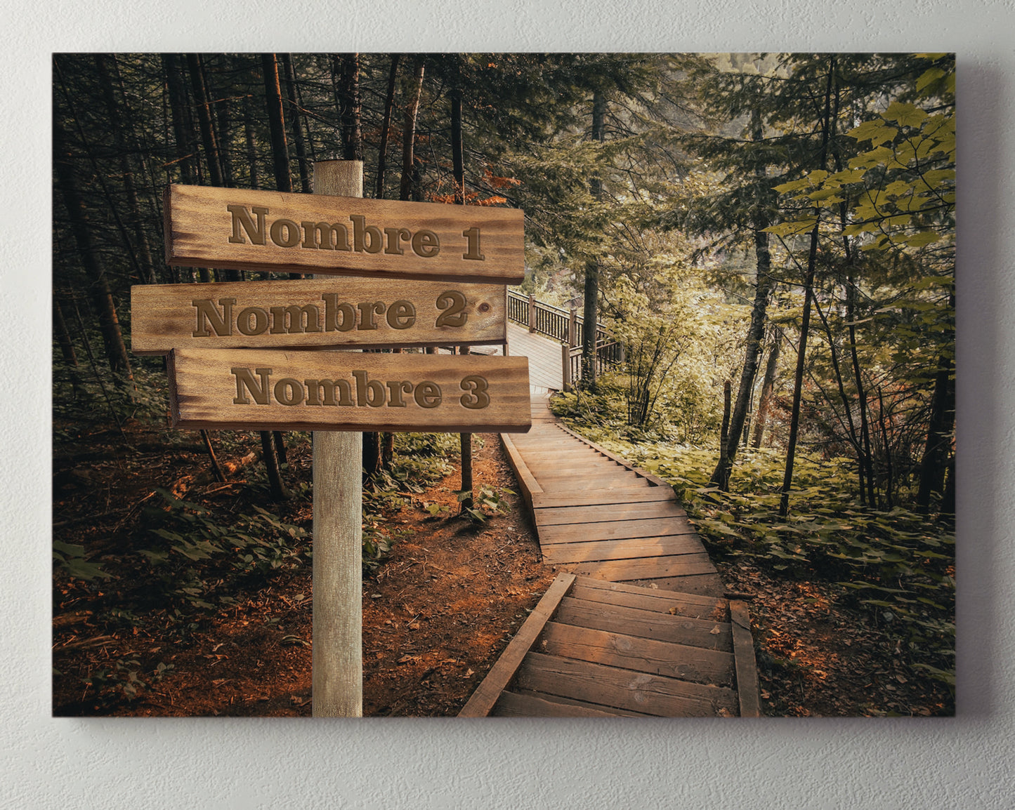 Pasarela Bosque Horizontal 2