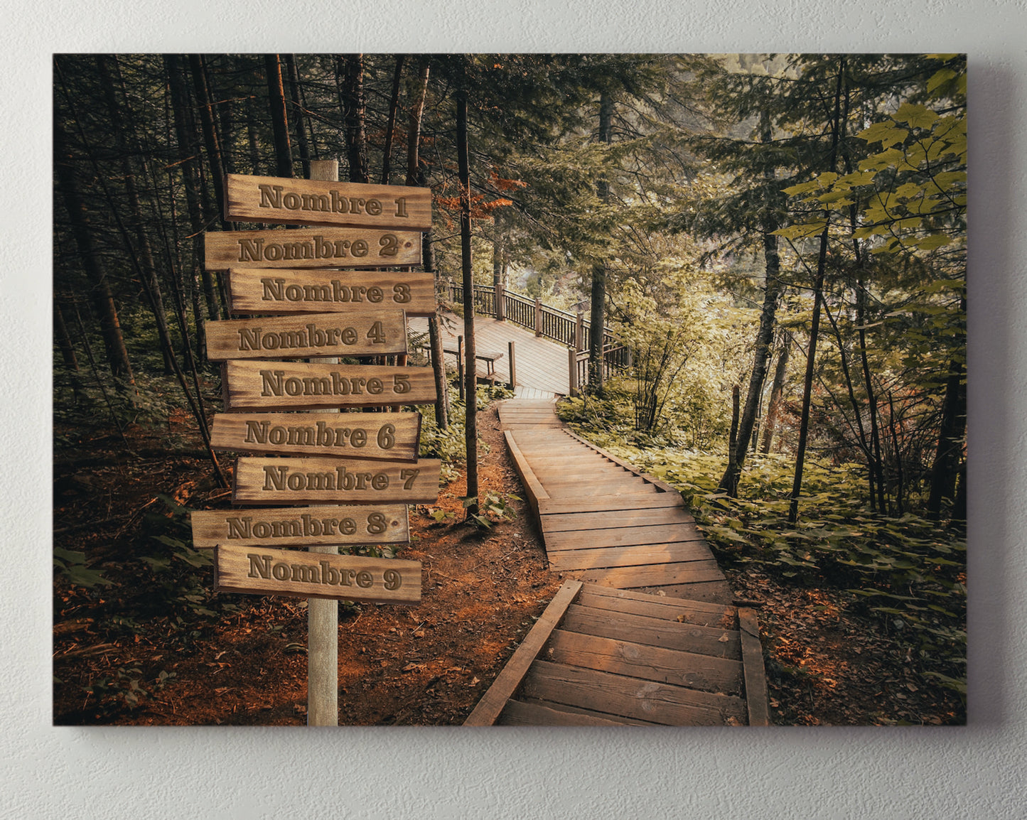 Pasarela Bosque Horizontal 2