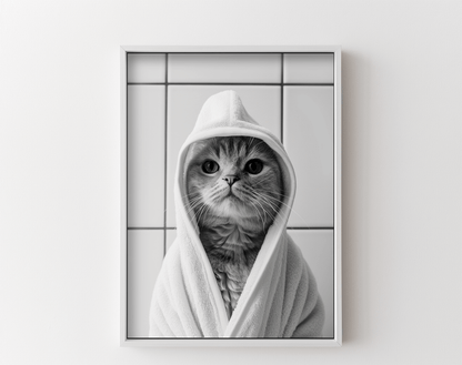 Gato saliendo de la ducha